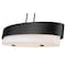 Z-Lite Counterpoint Linear Chandelier, 5-Light, 16 In.W x 42 In.L x 10.5 In.H, Matte Black/White 495-42L-MB - alternate 4